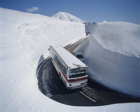 青森市アルバイト：雪国の労働と文化の交差点